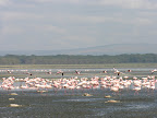 DSCN6319.JPG