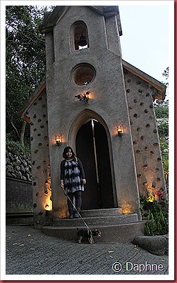 IMG_1953 IMG_1953
