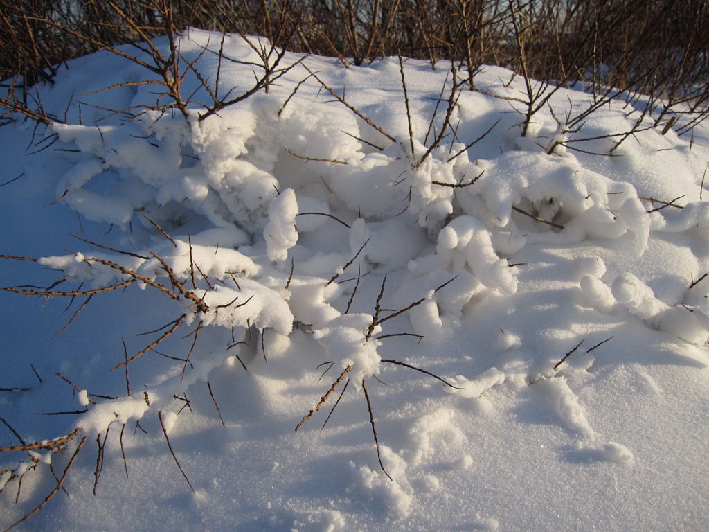 [IMG_0507%255B4%255D.jpg]