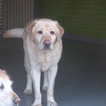 DSCN4752.jpg