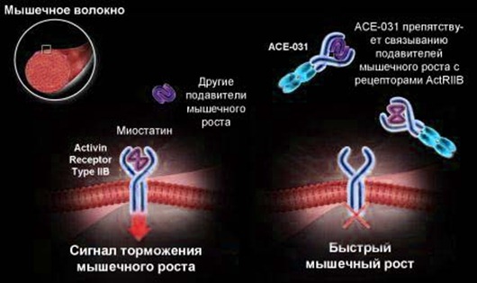 mechanism3 mechanism3