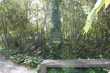 IMG_0222_resize