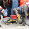 IMG_1281.JPG