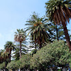 Genua i Sanremo - popr (62).JPG