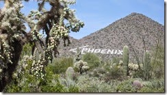 IMG_4909 IMG_4909