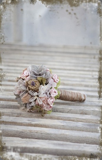 kelly IMG_7753  tricia fountaine[1]