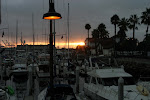 IMG_7425.jpg