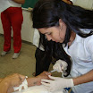 160 Turma de Enfermagem 2011.JPG