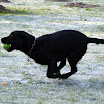 DSC09311.JPG