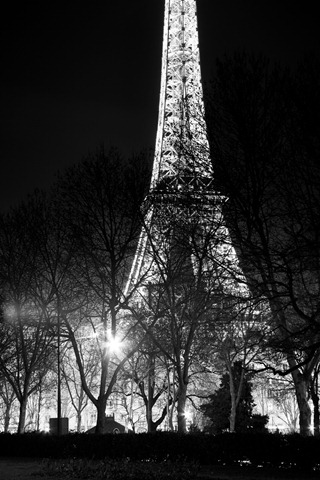 [Paris-2013-1-46.jpg]