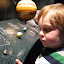 David recites the names of the planets from memory. – 01-Jan-2010 David recites the names of the planets from memory. – 01-Jan-2010