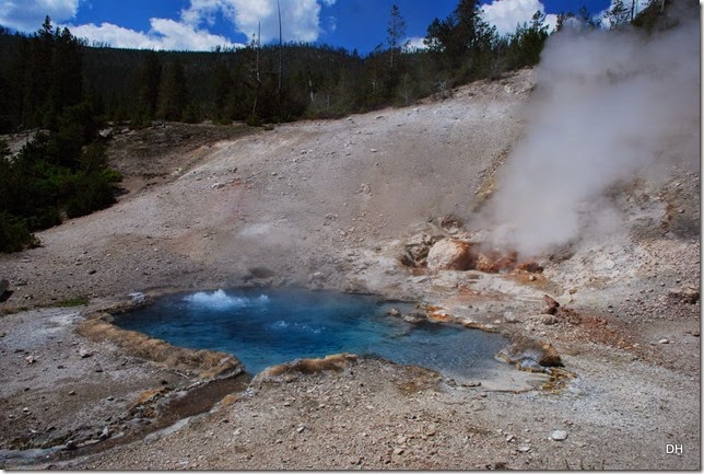 08-11-14 A Yellowstone National Park (367)