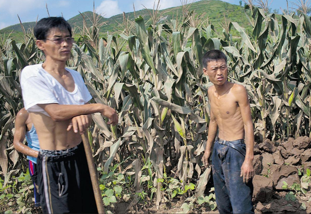 Farmers in North Korea work in a corn field in August 2012 which was damaged by floods in July. Typhoons Bolaven and Tembin have renewed fears of a humanitarian crisis in the impoverished country. David Guttenfelder / The Associated Press / Reuters