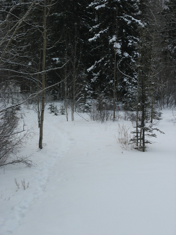 [IMG_4488%255B7%255D.jpg]