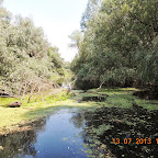 DSCN2954.JPG