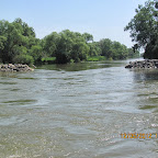 IMG_7781.JPG