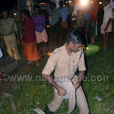 crocodile at nayathode 12.JPG