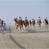 camelrace foto album Oman