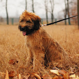 Abi - DSC_0347.jpg