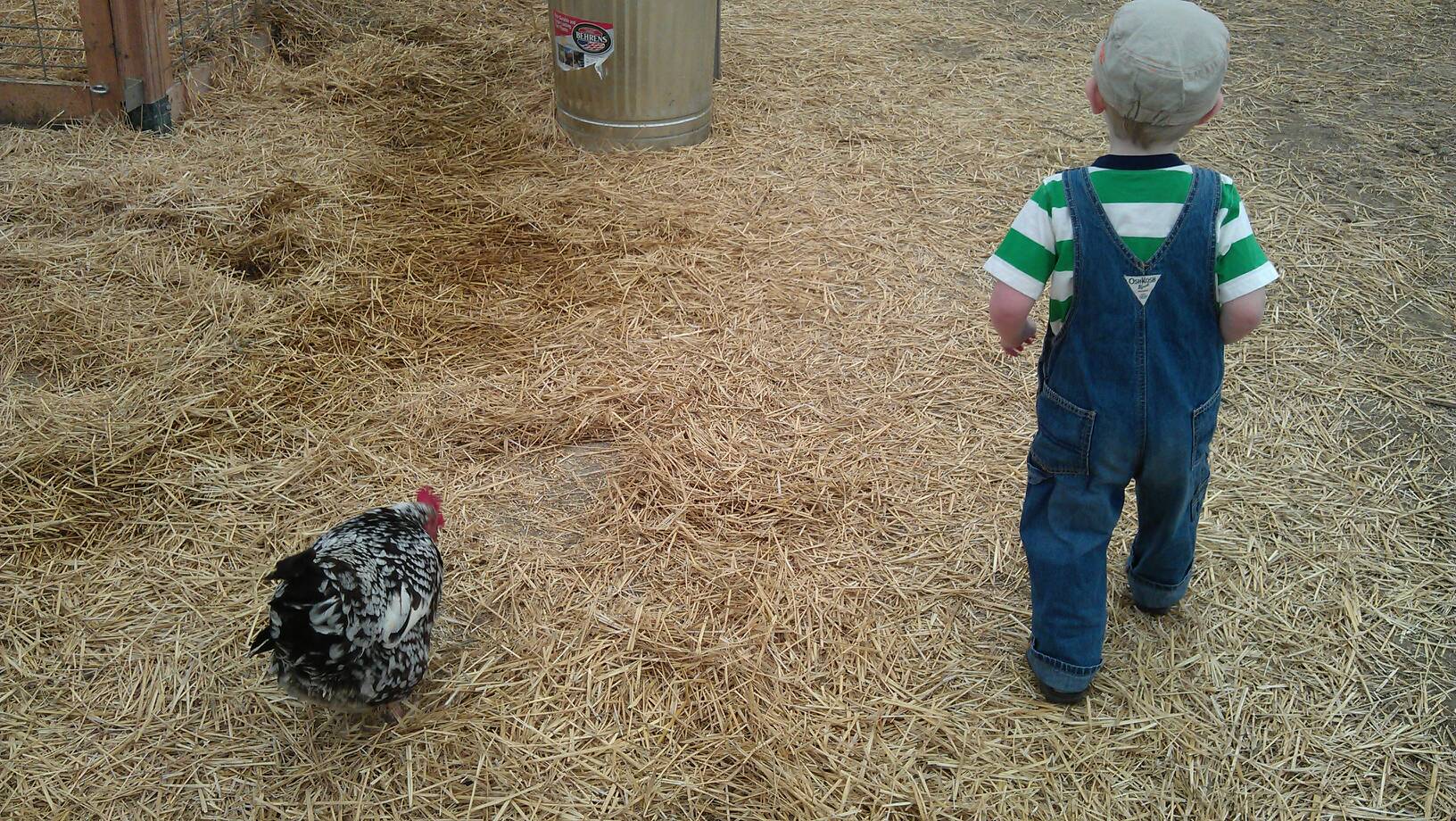 Andy and chicken