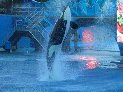 [Seaworld%2520046%255B3%255D.jpg]