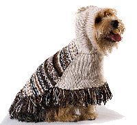 Alpakkagenser for hund: Feather Bliss