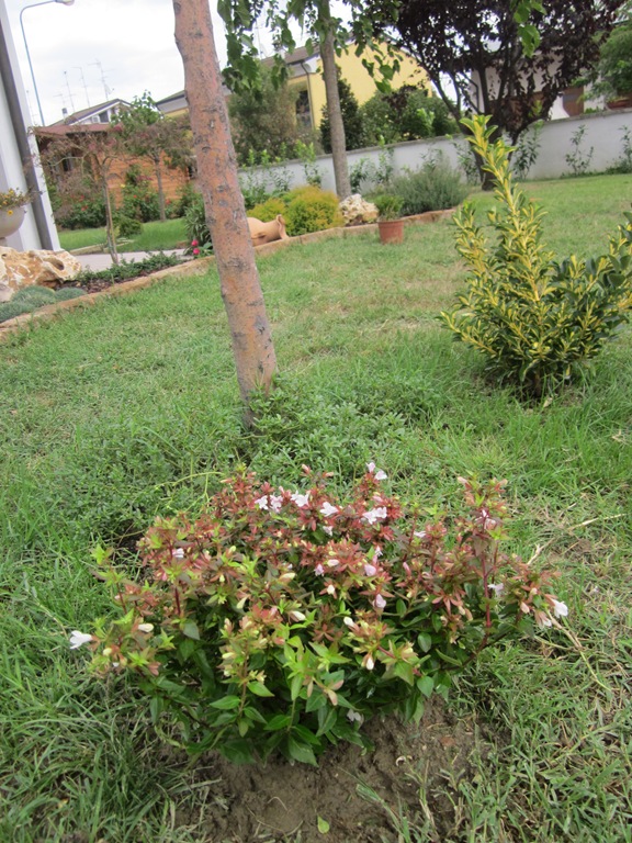 [IMG_0013%255B4%255D.jpg]
