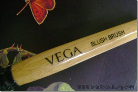 Vega Blush Brush Review