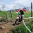 Greytown national & regional (b)