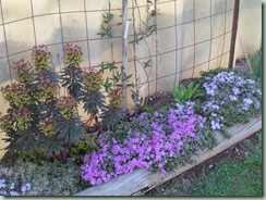 IMG_0553 IMG_0553