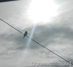 DSCN0072 DSCN0072