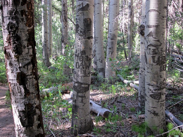 [IMG_0498%255B2%255D.jpg]
