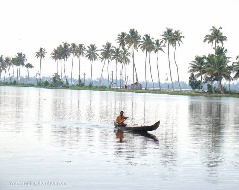 Oru Kuttanadan Yathra: The scenic view of Kerala(South India)