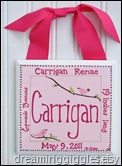 carrigan