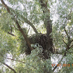 DSCN9690.JPG