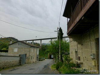 P1030691 P1030691