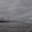 DSC_0190.jpg