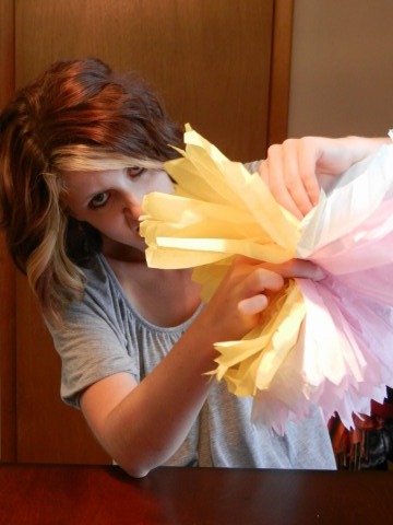 [sponges%25202%255B6%255D.jpg]