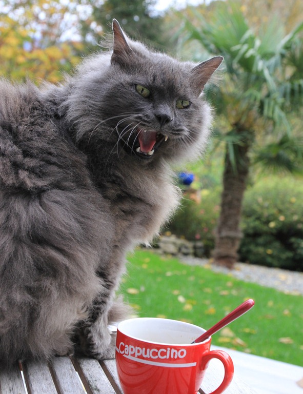 [IMG_4402%255B5%255D.jpg]