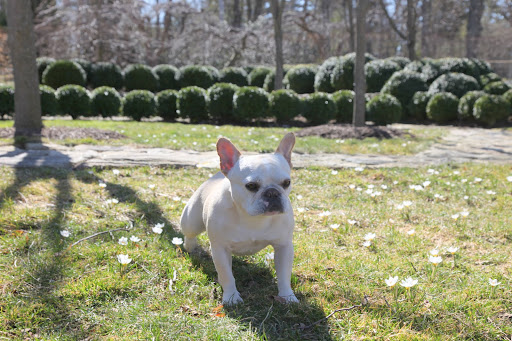 Franny, this warm weather is such a gift after our really hard winter.