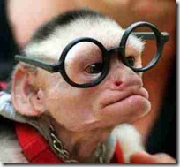 monos piensan blogdeimagenes (16)
