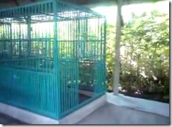 kandang umbaran 006 kandang umbaran 006