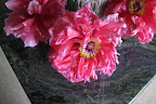 They really are spectacular so maybe we should pick some more.