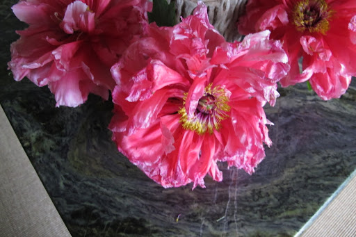 They really are spectacular so maybe we should pick some more.