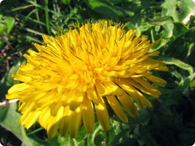 IMG_8315 IMG_8315