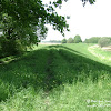 dsc06821.jpg