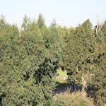 IMG_3334.JPG