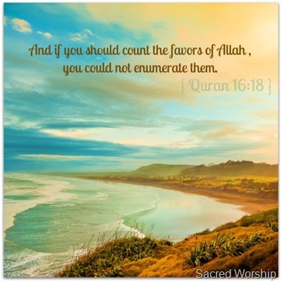 Favor's of Allah