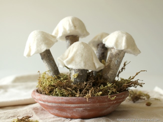 [Felt--White-Birch-Mushrooms-via-home%255B12%255D.jpg]