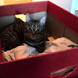 Katter2011 Katter2011